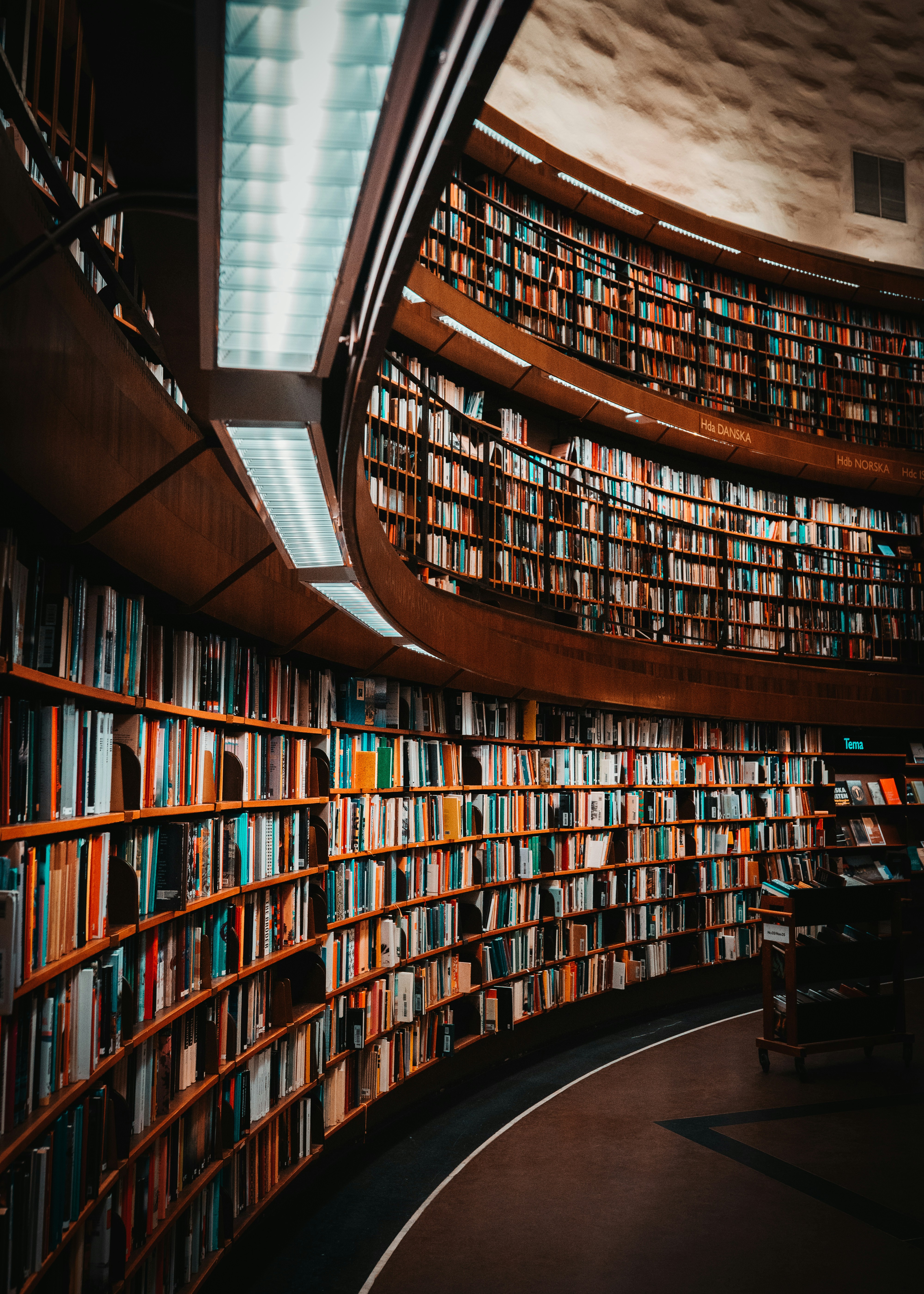 Intérieur de la bibliothèque universitaire